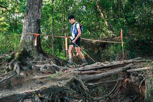 BIB: 
                            <button type="button" onclick="openModal(27545334)" class="btn btn-primary btn-sm float-right btn-popup" data-toggle="modal" data-target=".modal-high-quality">
                        <i class="fas fa-shopping-cart"></i> Add to Cart
                    </button>
                                            <button type="button" onclick="isThisMe(27545334, true)" class="btn btn-success btn-sm float-right btn-popup btn-isme hidden" data-toggle="tooltip" data-placement="bottom" title="นี่คือรูปของคุณใช่ไหม คลิกที่นี่เพื่อเอาเข้าอัลบั้ม">
                        <i class="fas fa-plus"></i> Add to album
                    </button>
                    <button type="button" onclick="isThisMe(27545334, false)" class="btn btn-warning btn-sm float-right btn-popup btn-isnotme hidden">
                        <i class="fas fa-ban"></i> Remove from album
                    </button>